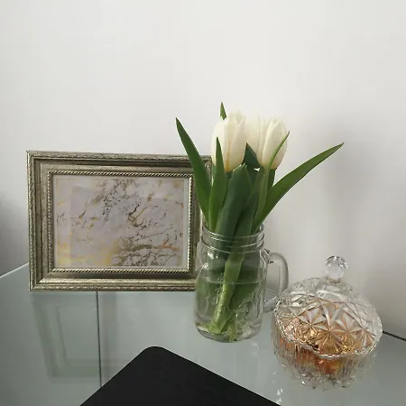 Business 4* Antwerpia